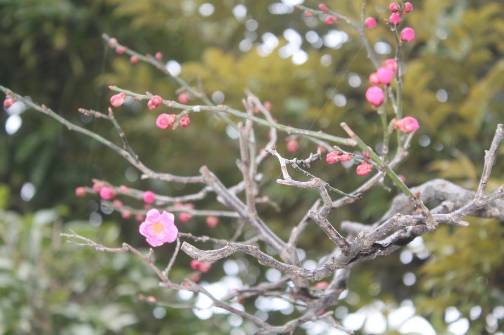 Kinugawa Onsen Sanraku Hotel Nikko Buitenkant foto